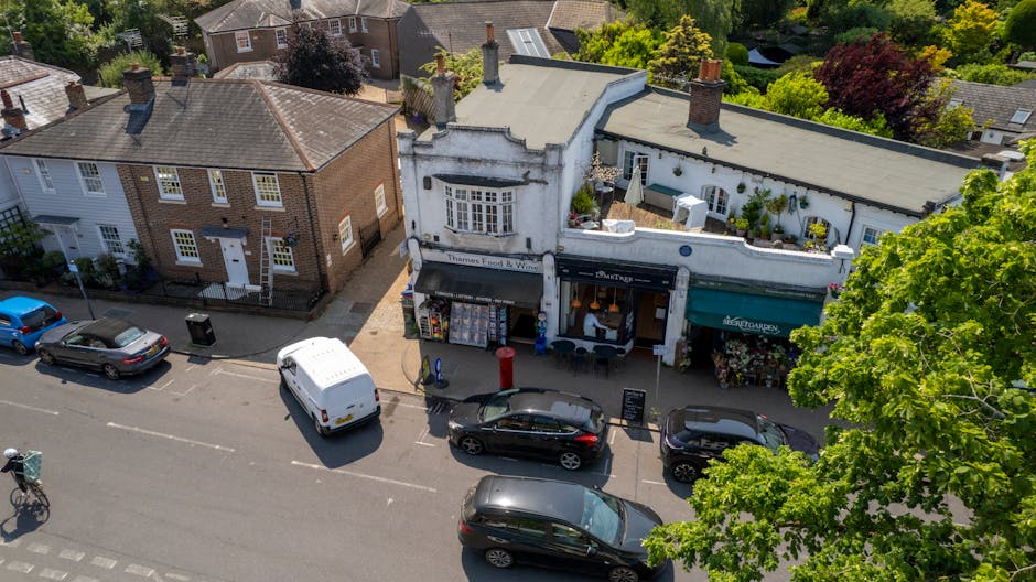 An aerial view of a small commercial street in Bromley Common featuring a flower shop with a black awning and a display of plants outside. In front of the shop, there are several parked cars, includin