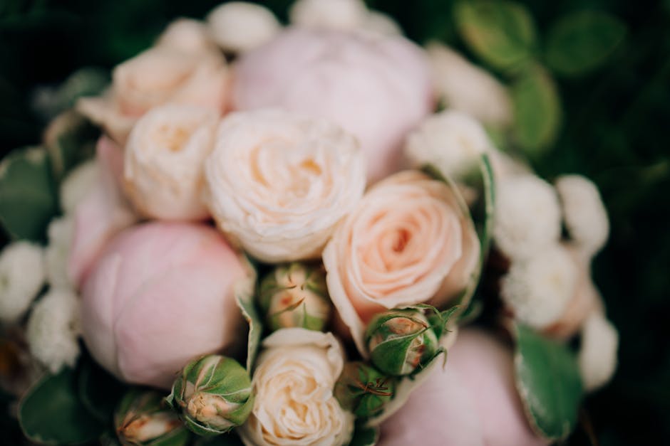 A close-up of a floral arrangement featuring pale pink and cream roses with tightly rolled petals, accompanied by small white buds and dark green leaves. The roses are fresh, with velvety petals and s